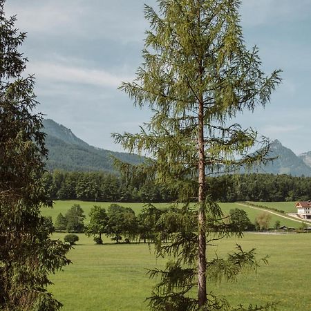 Ferienwohnung Hoamhaus Saint Wolfgang Exterior foto