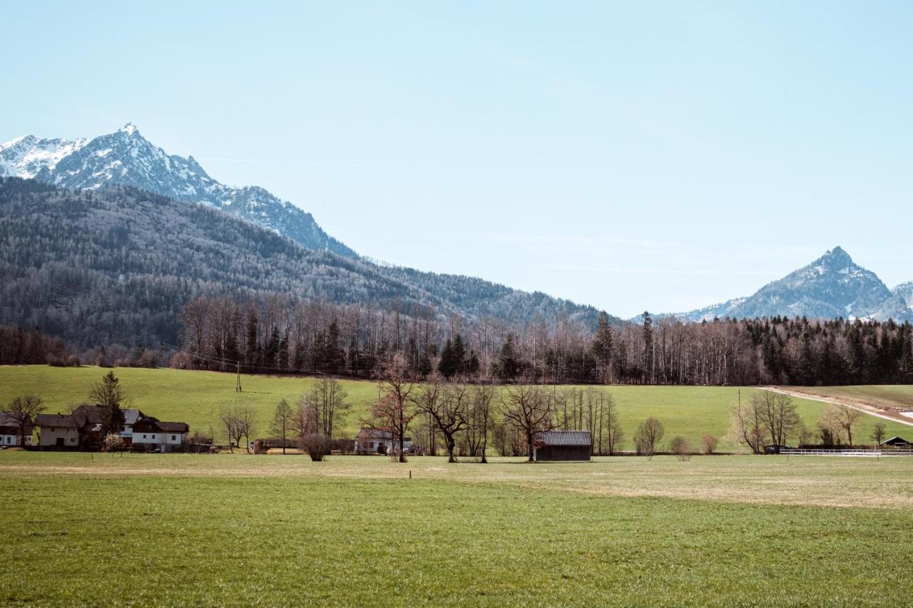 Ferienwohnung Hoamhaus Saint Wolfgang Exterior foto