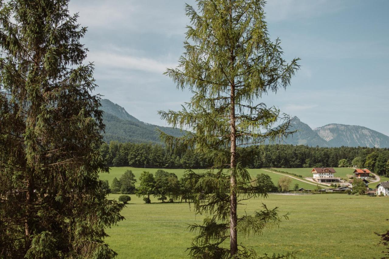 Ferienwohnung Hoamhaus Saint Wolfgang Exterior foto